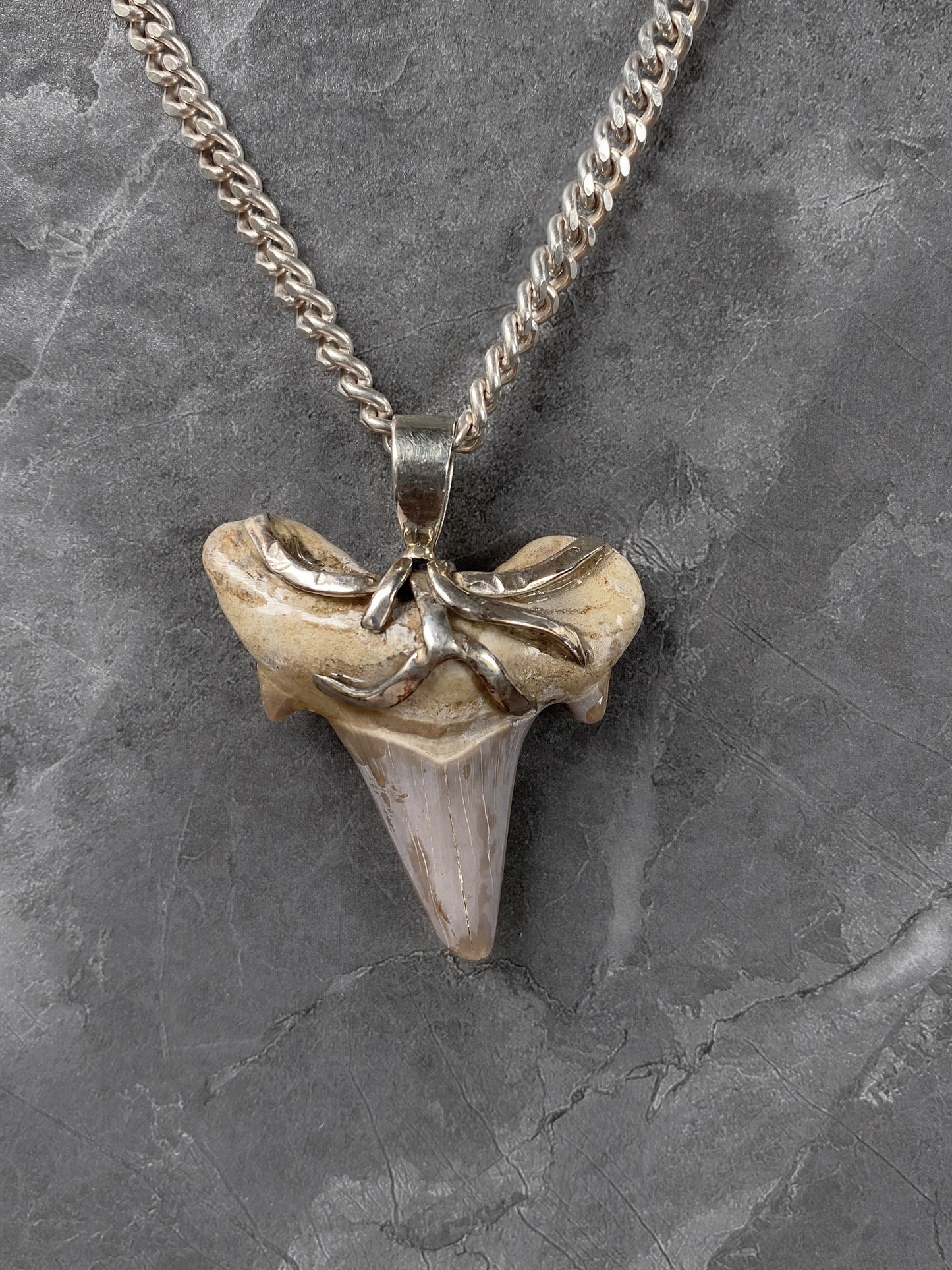 Pendant Shark Tooth