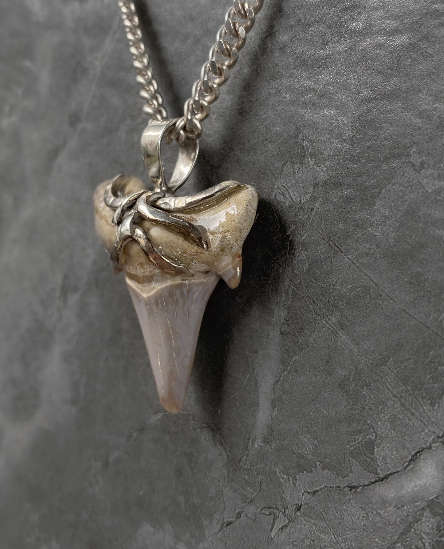 Pendant Shark Tooth