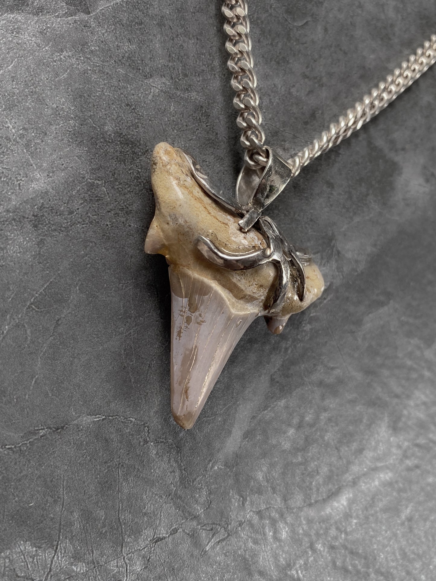 Pendant Shark Tooth