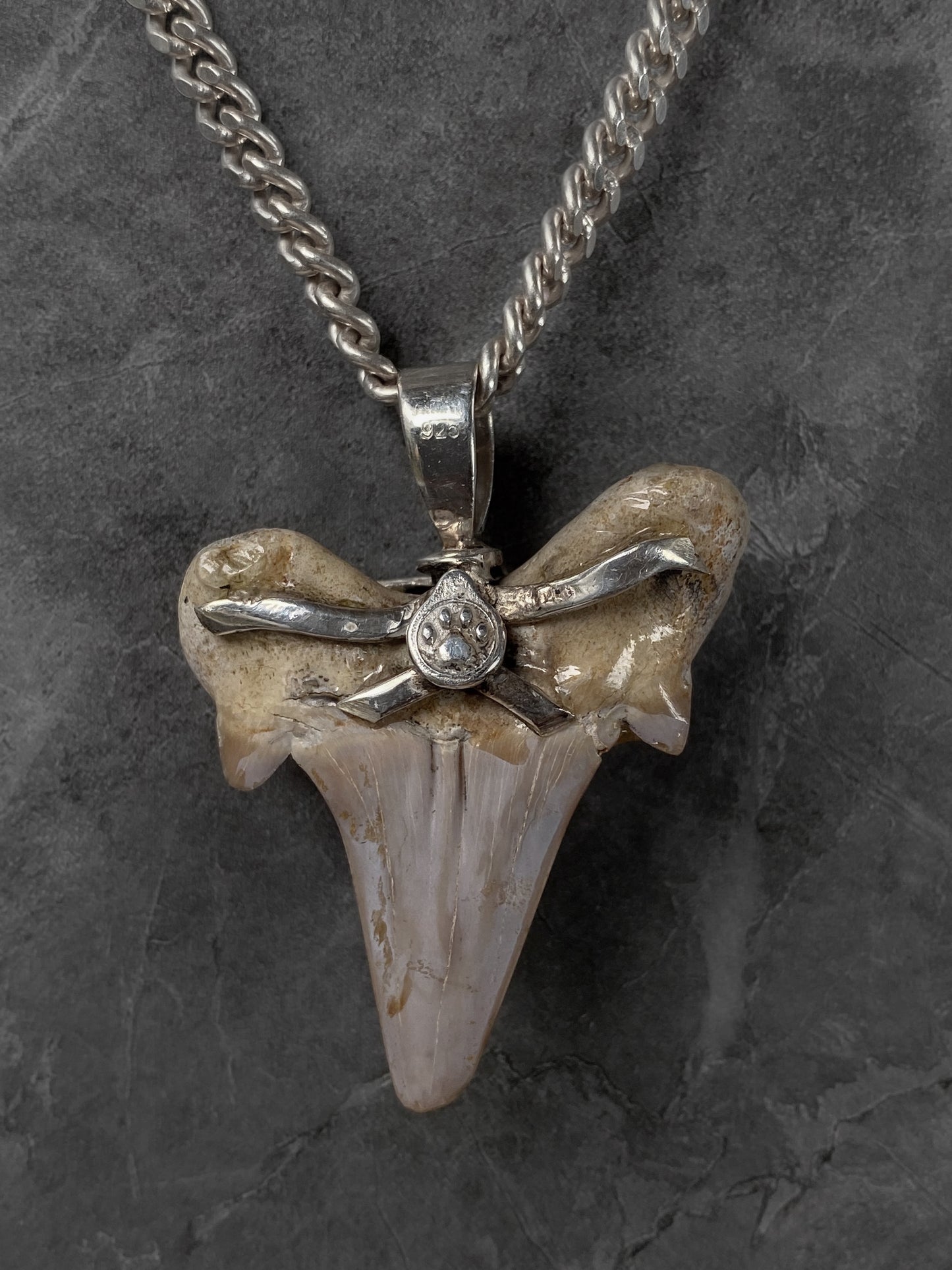 Pendant Shark Tooth