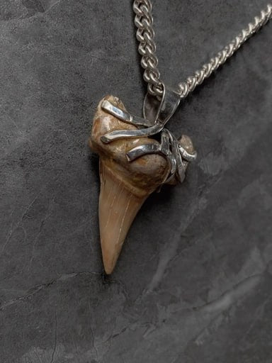 Authentic Megalodon fossil tooth pendant with twisted sterling silver setting – ancient ocean jewelry by Snow Cat Jewelry